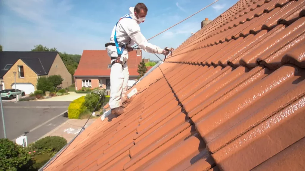 Demoussage et facade